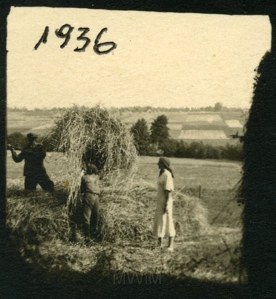 KKE 4977.jpg - Fot. Sianokosy, Miratycze, 1936 r.
